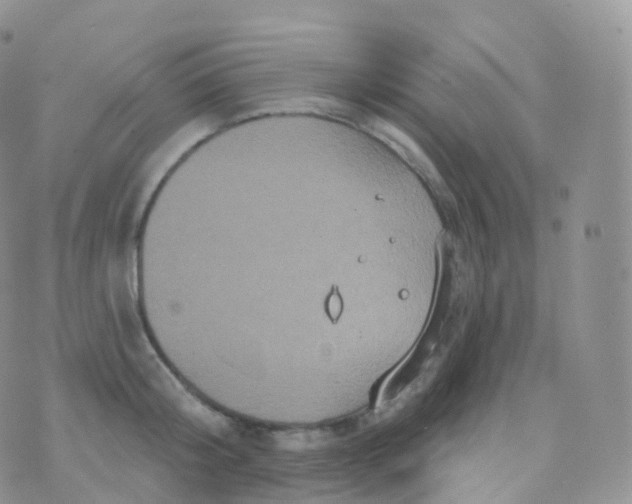 X0000070400804200606302010