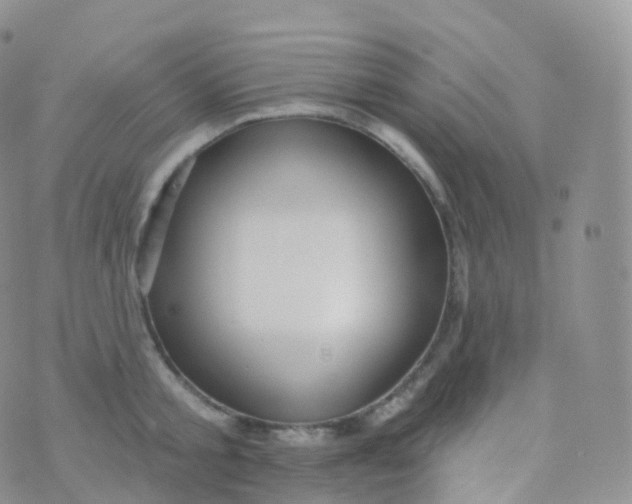 X0000070400805200606302010