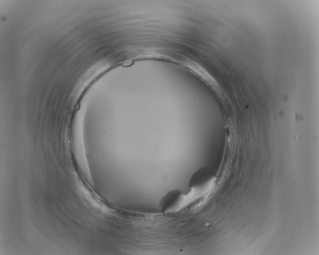 X0000070400806200606302010