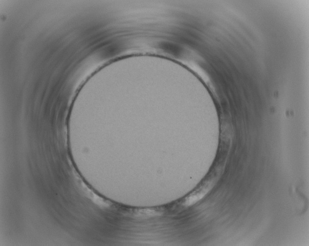 X0000070400807200606302010