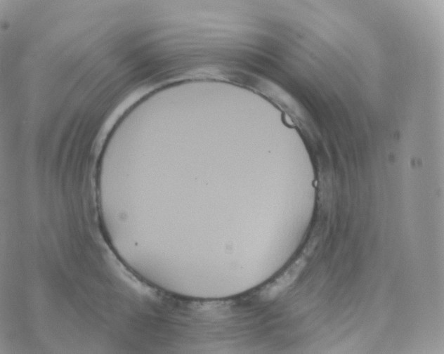 X0000070400808200606302010