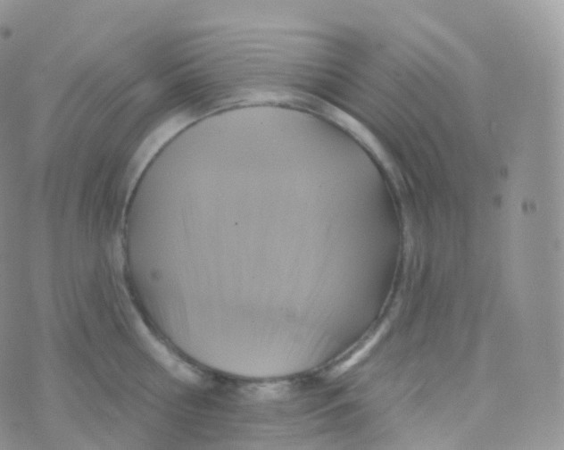 X0000070400810200606302010