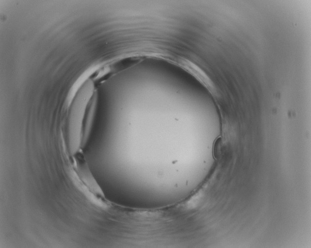 X0000070400812200606302010