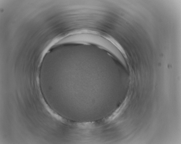 X0000070400813200606302010