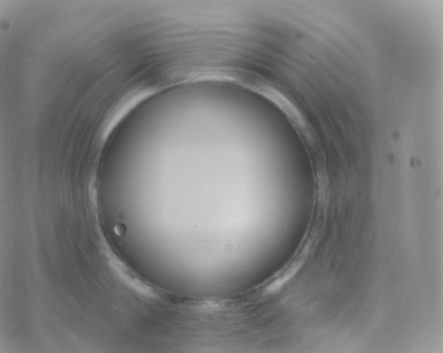 X0000070400814200606302009