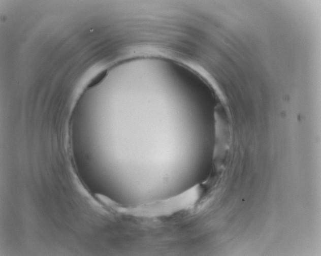 X0000070400815200606302009