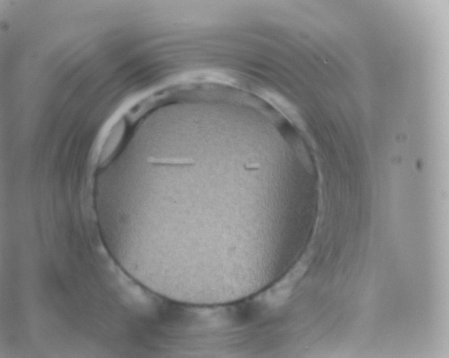 X0000070400816200606302009