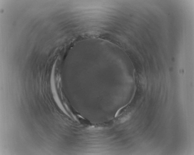 X0000070400818200606302009