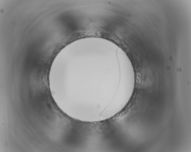 X0000070400820200606302009