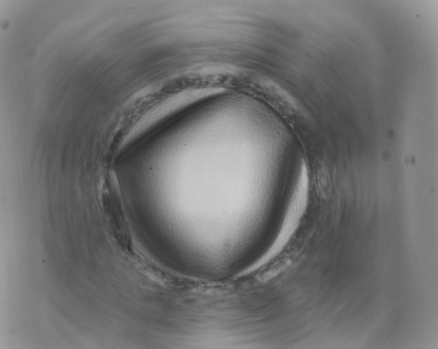 X0000070400821200606302009