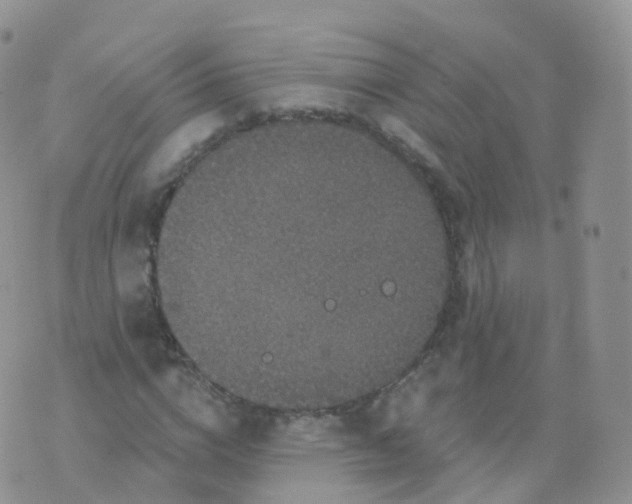 X0000070400824200606302009