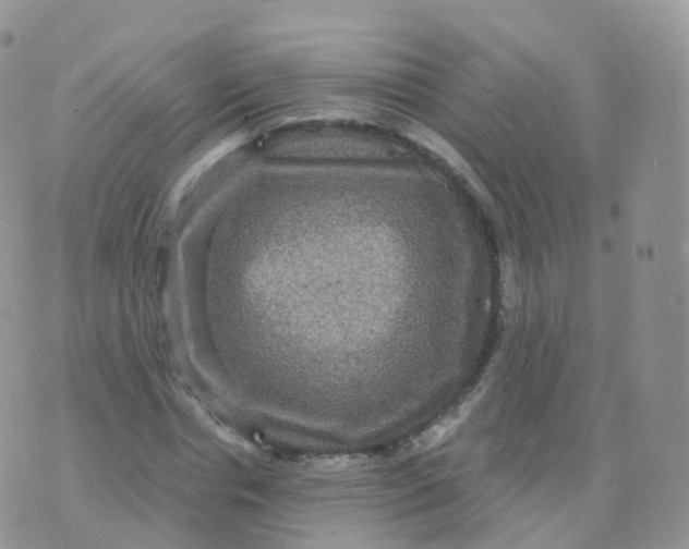 X0000070400826200606302009