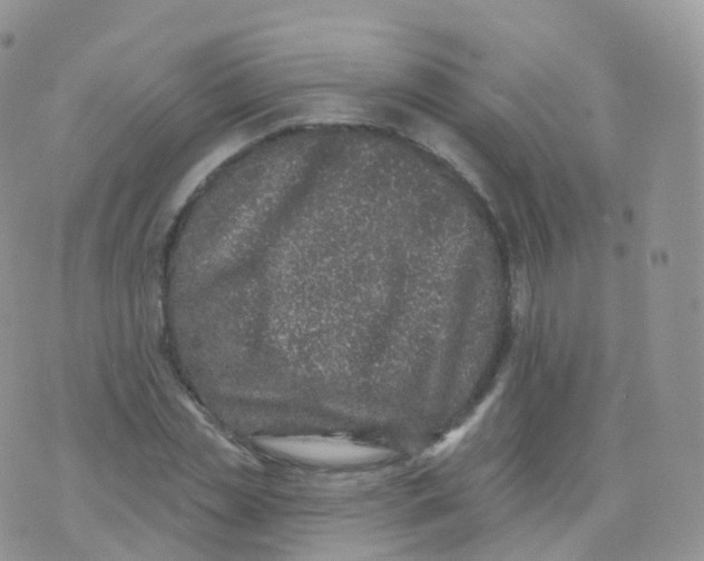 X0000070400829200606302009