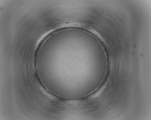 X0000070400830200606302009