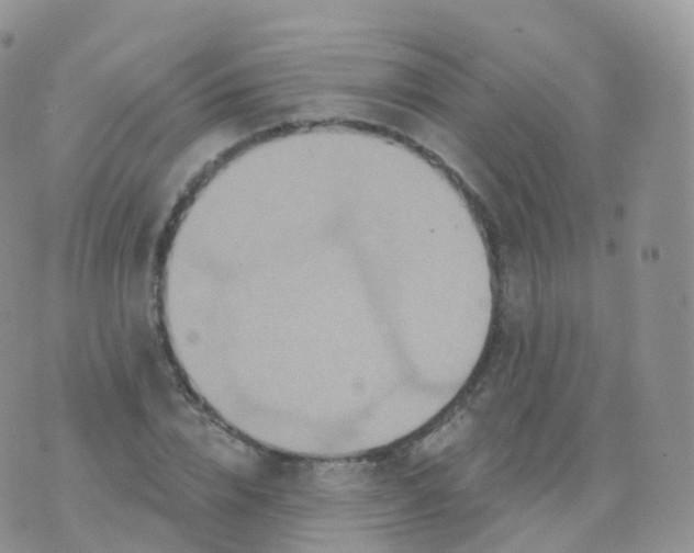 X0000070400832200606302009