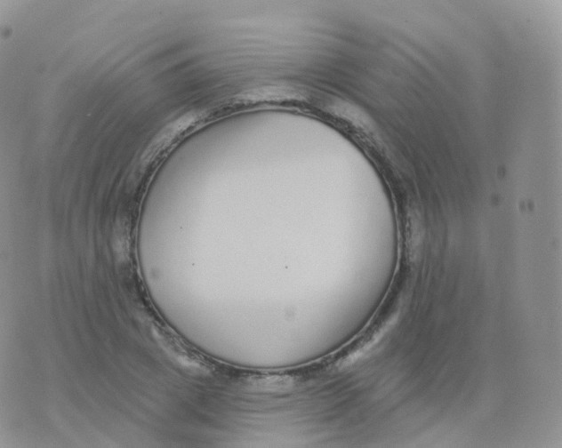 X0000070400833200606302009