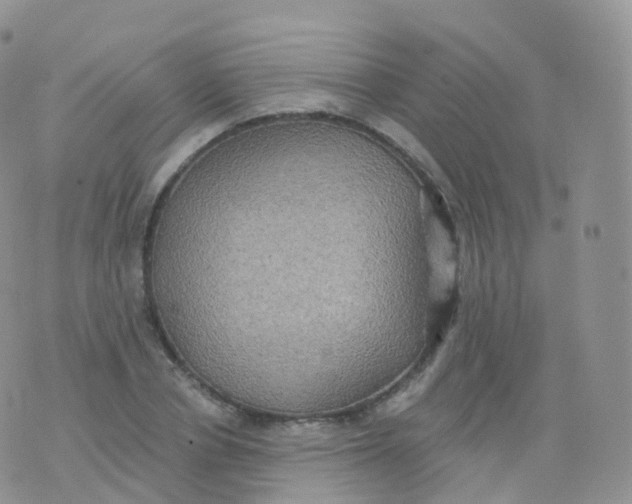 X0000070400834200606302009