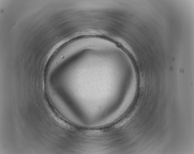 X0000070400837200606302009