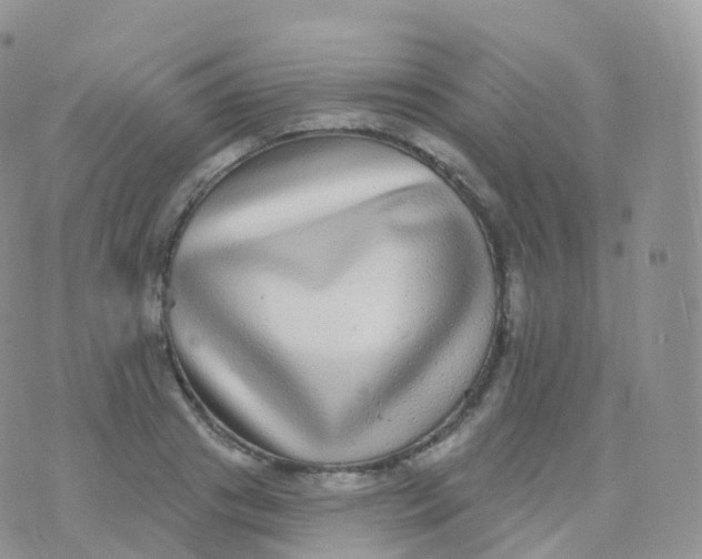 X0000070400841200606302009