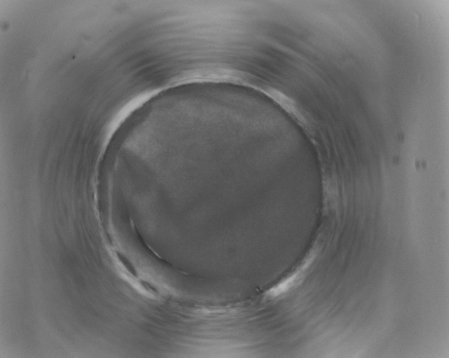 X0000070400846200606302009