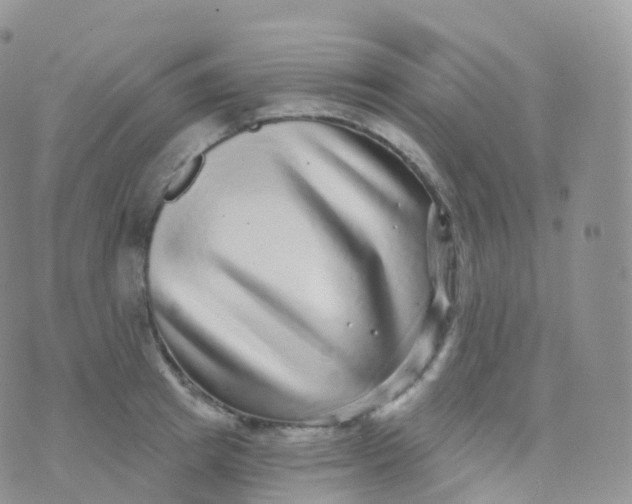 X0000070400849200606302009