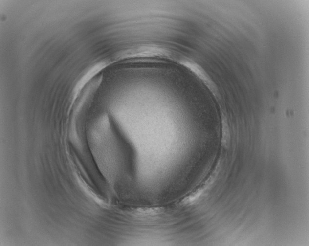 X0000070400850200606302009