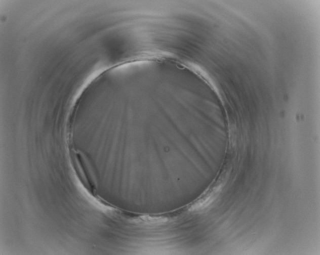 X0000070400851200606302009