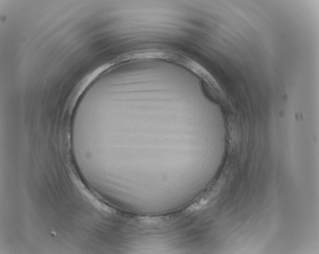 X0000070400852200606302009