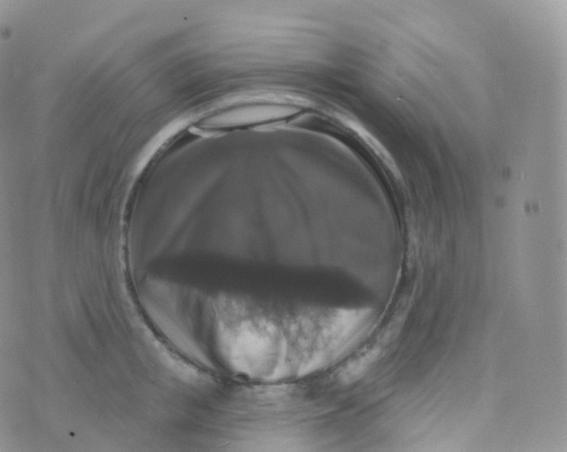 X0000070400853200606302009