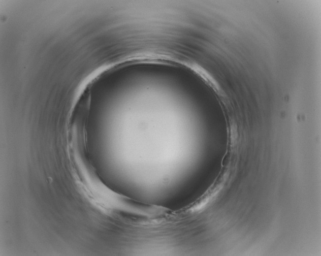 X0000070400854200606302009