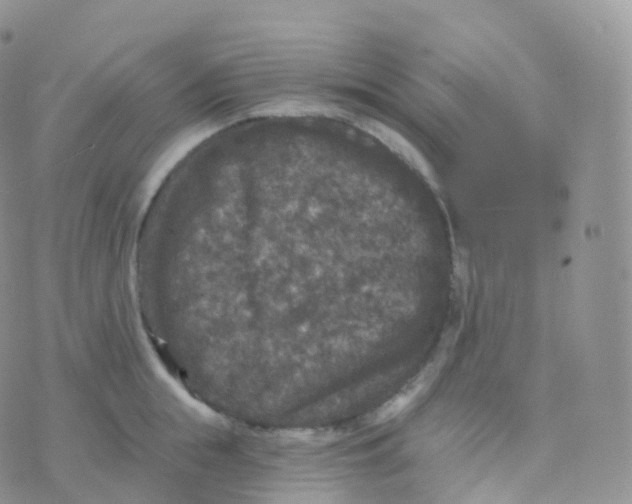 X0000070400855200606302009