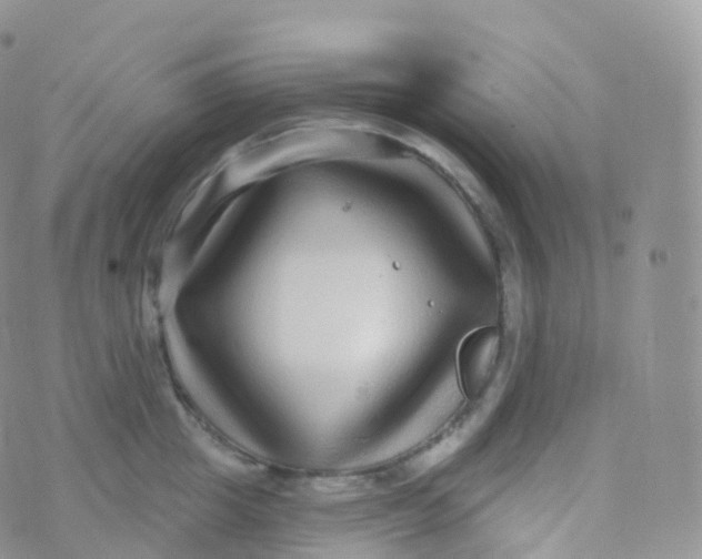 X0000070400857200606302009