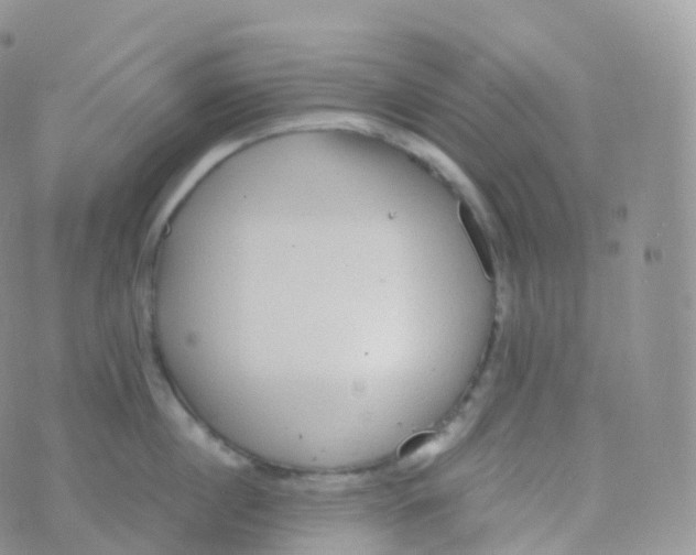 X0000070400860200606302009