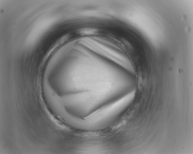 X0000070400861200606302009