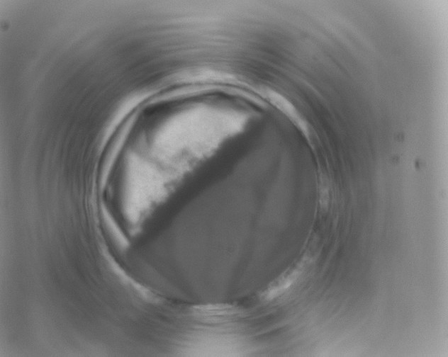 X0000070400863200606302009