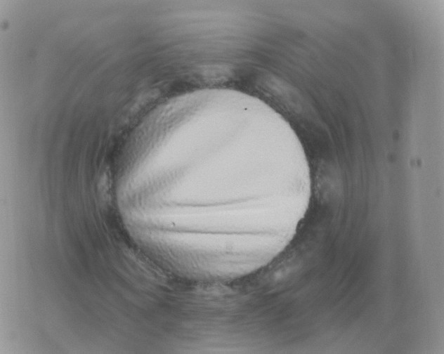 X0000070400866200606302009