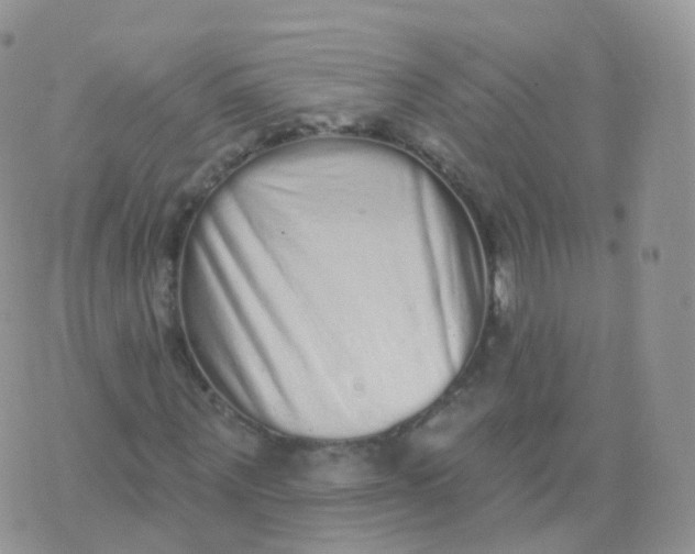 X0000070400867200606302009