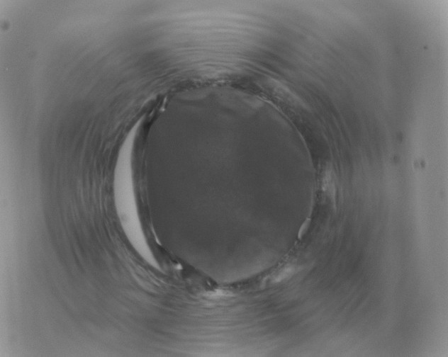 X0000070400868200606302009