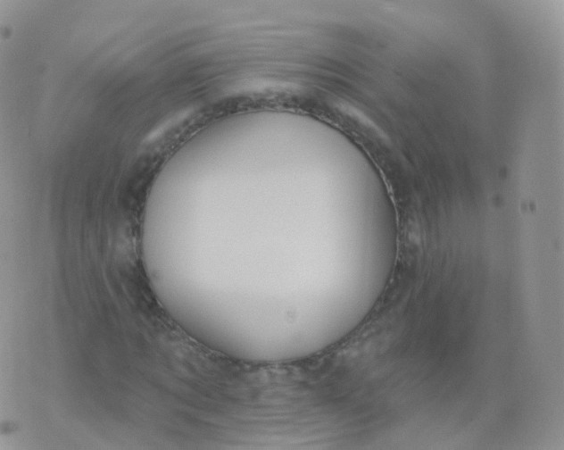 X0000070400869200606302009