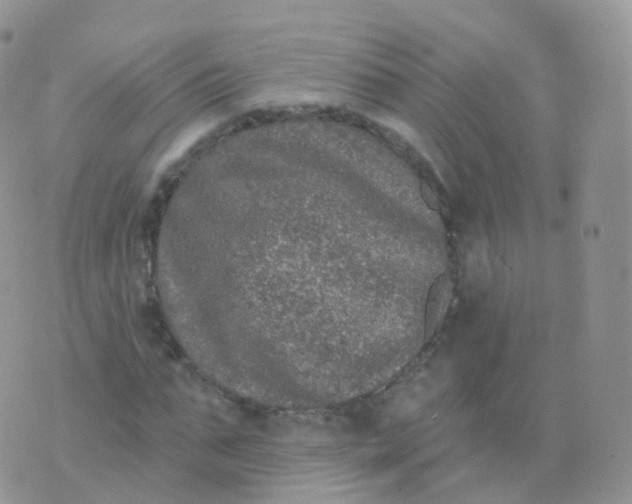 X0000070400871200606302009