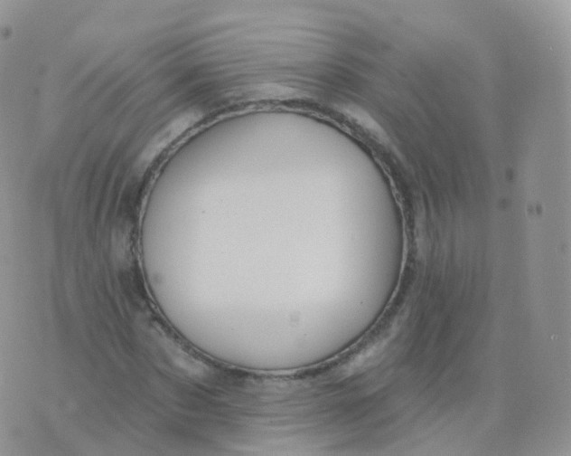 X0000070400873200606302009