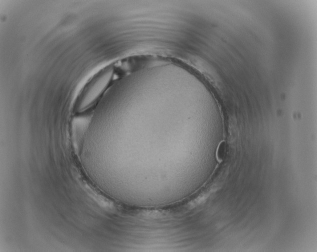 X0000070400880200606302008