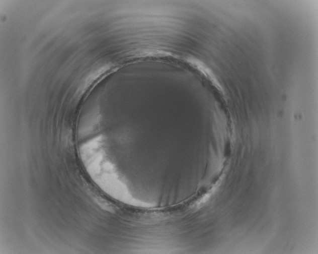 X0000070400881200606302008