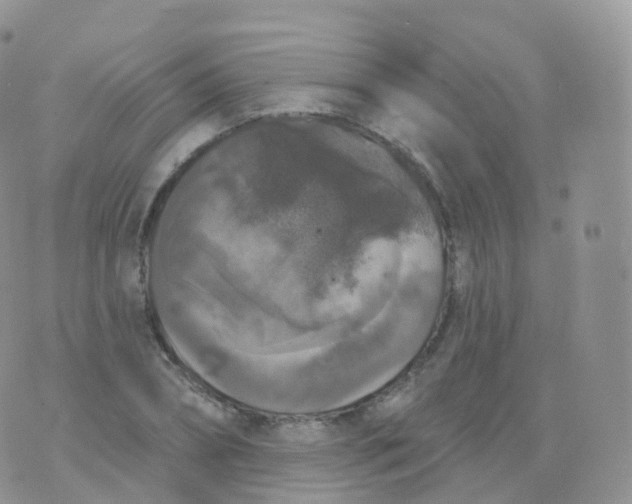 X0000070400882200606302008