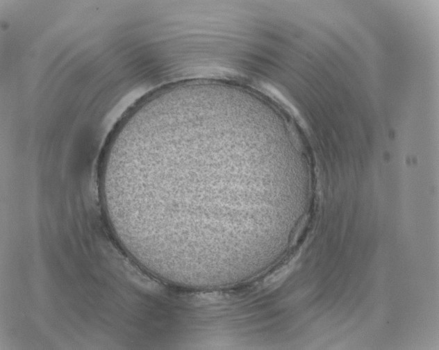 X0000070400883200606302008