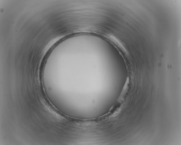 X0000070400884200606302008