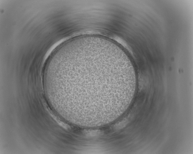 X0000070400886200606302008