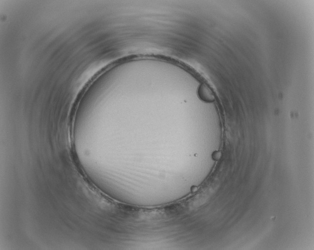 X0000070400887200606302008