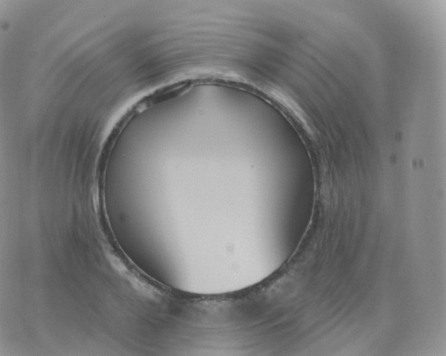 X0000070400888200606302008