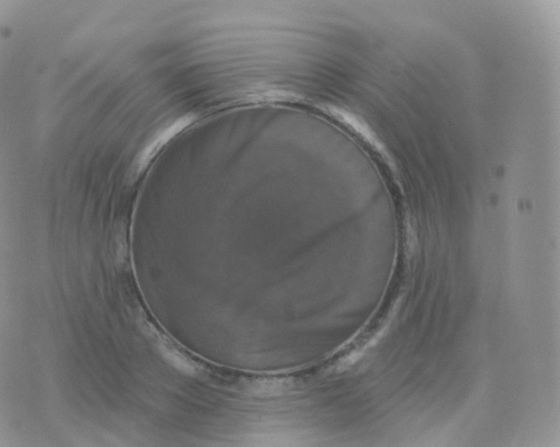 X0000070400889200606302008